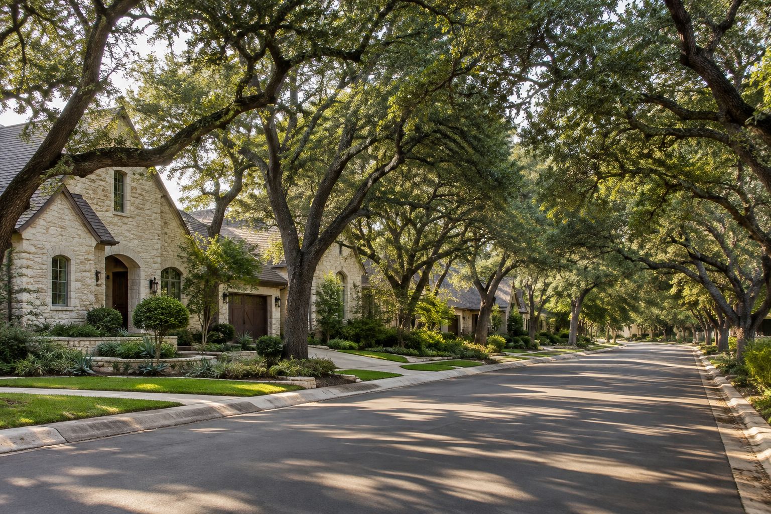 A San Antonio area residential street, illustrative